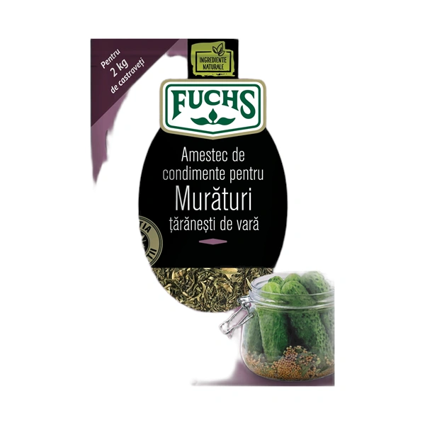 MURATURI TARANESTI FUCHS 25 GR