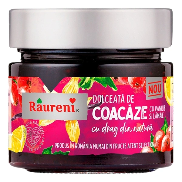 DULCEATA DE COACAZE VANILIE SI LAMAIE 250 GR RAURENI