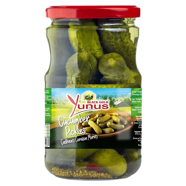 CASTRAVETI CORNISHON MURATI BORCAN YUNUS720 GR
