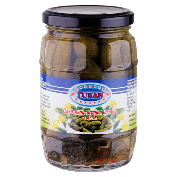 CASTRAVETI IN OTET TURAN 1 4CM 580 GR